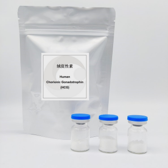 Chorionic Gonadotropin HCG